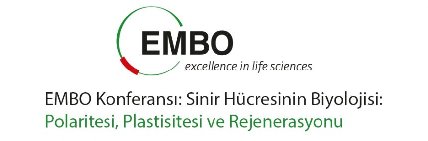 EMBO Konferansı: Sinir Hücresinin Biyolojisi: Polaritesi, Plastisitesi ve Rejenerasyonu, 7-10 Mayıs 2017, Heraklion, Yunanistan