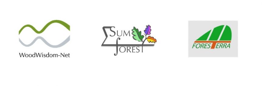 Forest Value Yenilikçi Orman Temelli Biyoekonomi Çağrı Ön Duyurusu